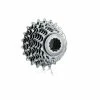 Cassette Miche Campagnolo 8 V (13-26)